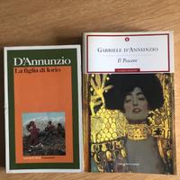 Romanzi D'Annunzio Liceo Letteratura