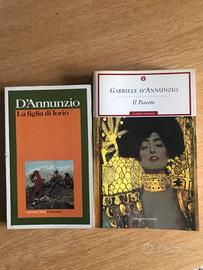 Romanzi D'Annunzio Liceo Letteratura