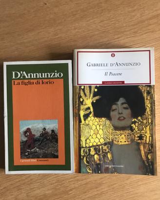 Romanzi D'Annunzio Liceo Letteratura