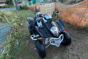 quad wt 300