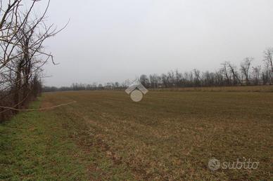 TER. AGRICOLO A GHEDI