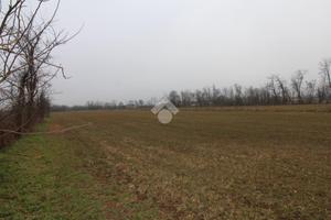 TER. AGRICOLO A GHEDI