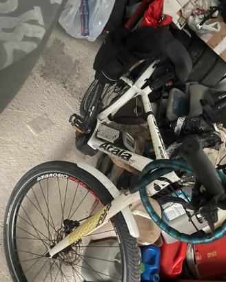 Ebike bici elettrica