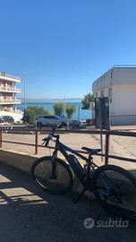 Bici pedalata assistita scrapper