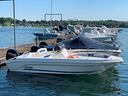 ranieri-shark-19