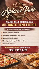 Aiutante panettiere