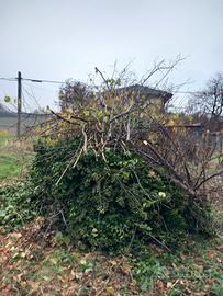 sterpaglie per truciolato