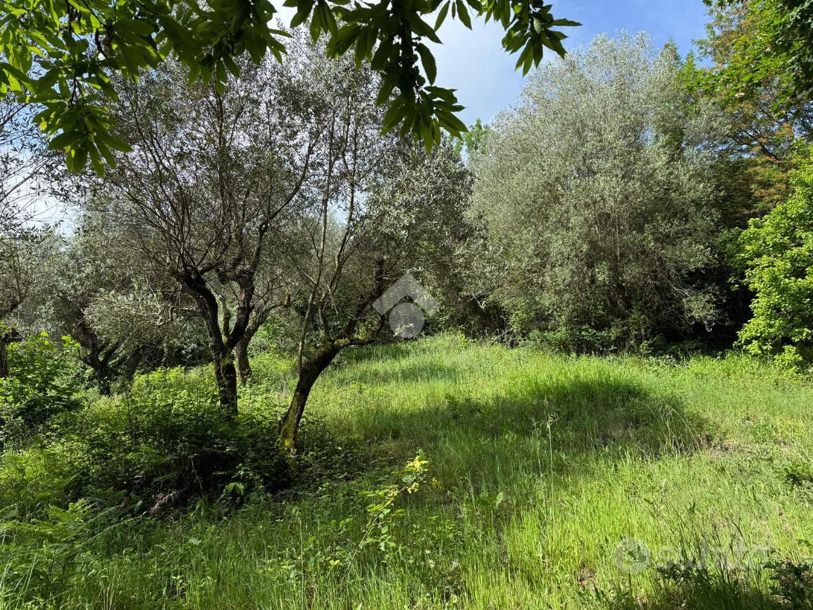 TER. AGRICOLO A ARTENA - Vista 4