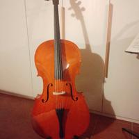 Violoncello Domus Rialto 4/4