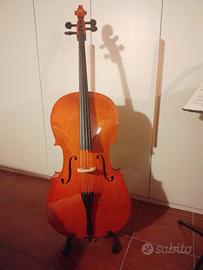 Violoncello Domus Rialto 4/4
