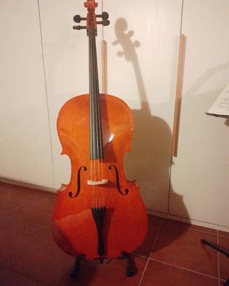 Violoncello Domus Rialto 4/4