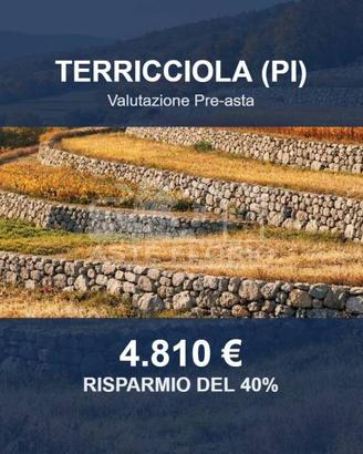 Immobile in asta di 5347 m² a Terricciola
