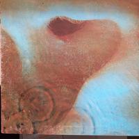 vinile Pink Floyd 