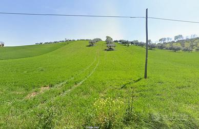 Terreno Agricolo comodo e coltivabile con uliveto