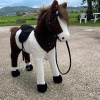 Cavallo cavalcabile