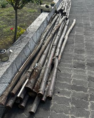 Paletti in legno di castagno