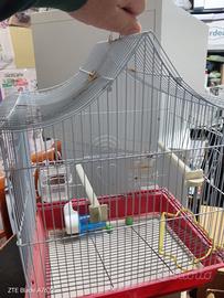 Gabbia per uccelli 🐦