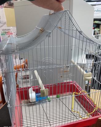 Gabbia per uccelli 🐦