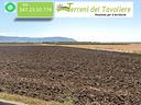 terreno-seminativo-irriguo-a-san-severo