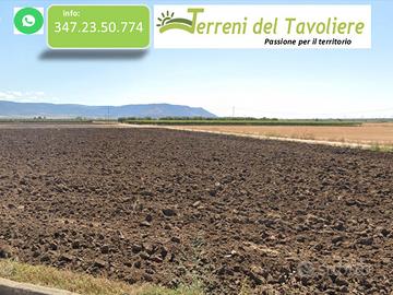 Terreno Seminativo Irriguo a San Severo