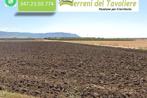 Terreno Seminativo Irriguo a San Severo