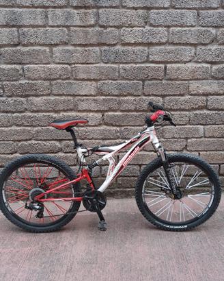 bicicletta lombardo