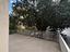 Immagine 19