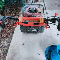 trincia monolama benassi