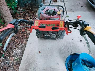 trincia monolama benassi