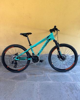 Titolo: Mountain Bike Ragazzo Megamo KU4 24"