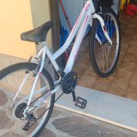 Mtb donna 26 pollici .Cambio Shimano  come nuova