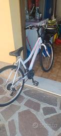 Mtb donna 26 pollici .Cambio Shimano  come nuova