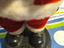 Immagine 6