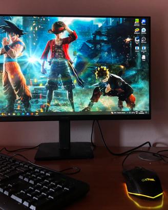 PC fisso Ryzen 5 8GB RAM SSD 250GB + Monitor