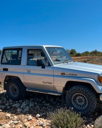Land cruiser