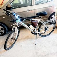 Bicicletta Teknobike