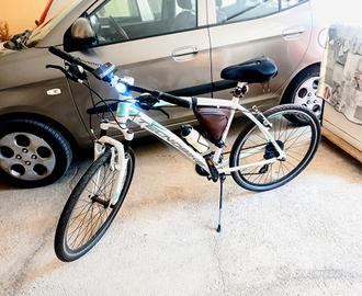 Bicicletta Teknobike