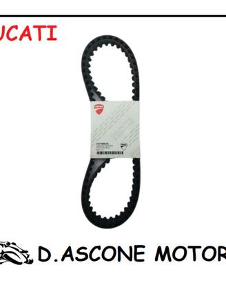 COPPIA CINGHIE ORIGINALI DUCATI ( DENTI TONDI ) 69