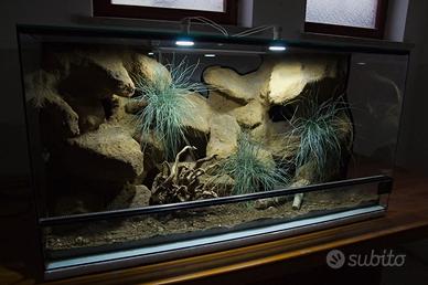 Terrario naturalistico misura 100x50x50 