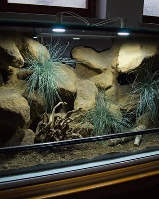 Terrario naturalistico misura 100x50x50 