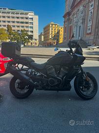 Harley Davidson Panamerica 1250 s 2024