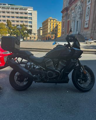 Harley Davidson Panamerica 1250 s 2024