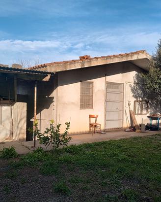Tenuta Agricola di 4 Ettari con Casa e Fabbricati