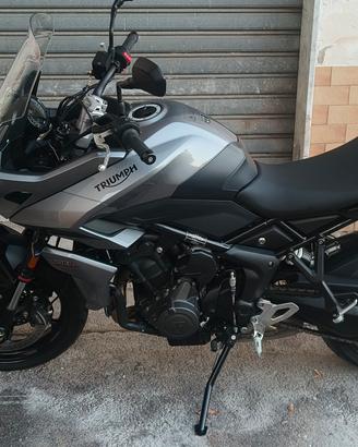Triumph Tiger 660 sport 