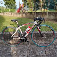 Bicicletta da corsa in carobonio Bottecchia