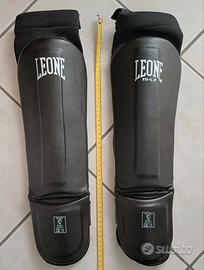 Paratibie Leone