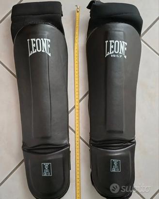 Paratibie Leone