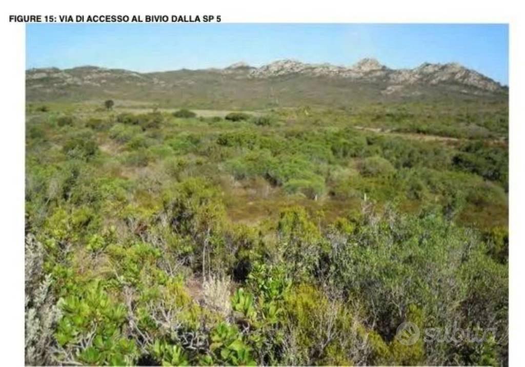 Immobile in asta di 786308 m² a Aggius - Vista 3