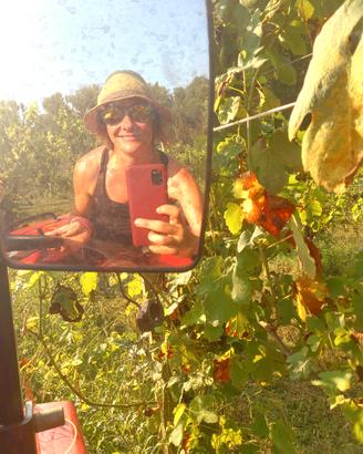 Operaia di vigna e cantina 