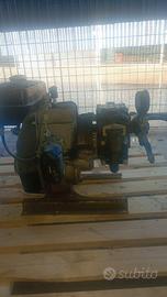 Motopompa per irrorazione